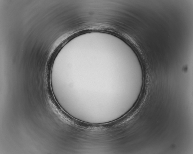 X0000115781122200911271158