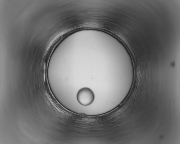 X0000115781123200911271158