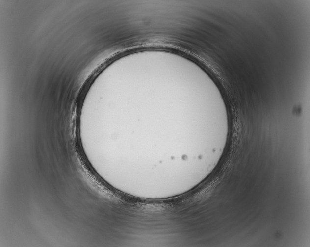 X0000115781126200911271158