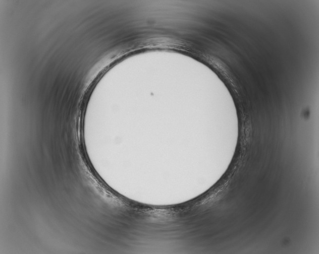 X0000115781130200911271158