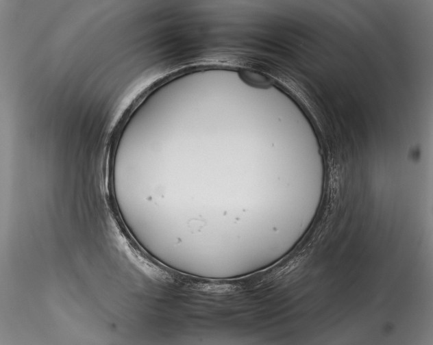 X0000115781131200911271158