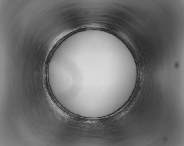 X0000115781133200911271158