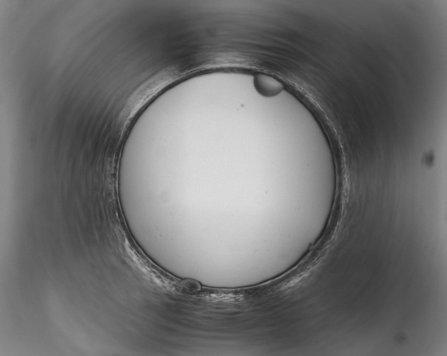 X0000115781137200911271158