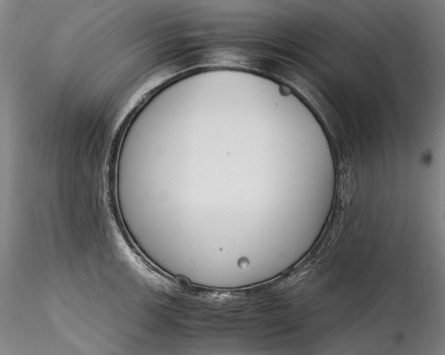 X0000115781139200911271158