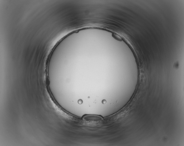 X0000115781143200911271158