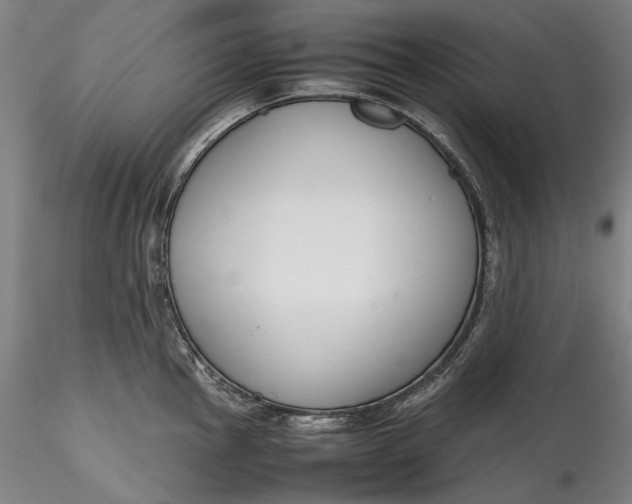 X0000115781145200911271158