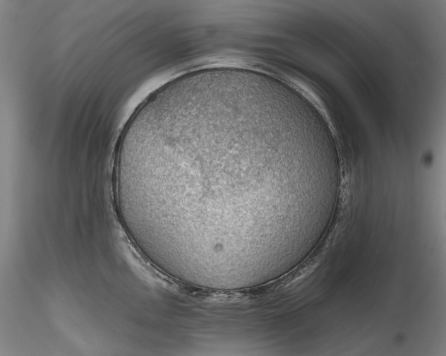 X0000115781146200911271158