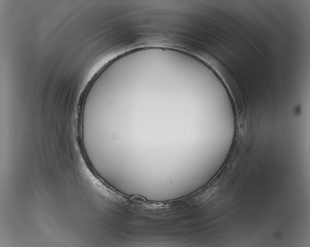 X0000115781147200911271158