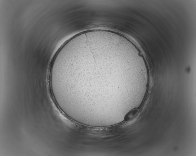 X0000115781149200911271158