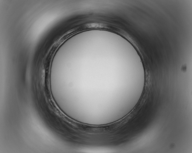 X0000115781151200911271159