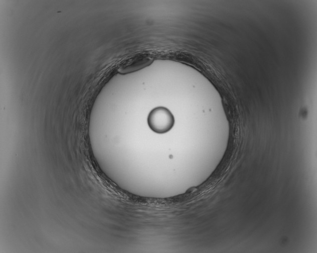 X0000115781153200911271158