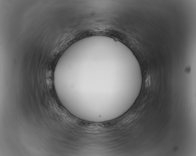 X0000115781156200911271158