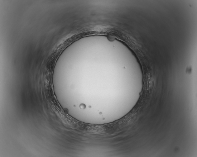 X0000115781158200911271158