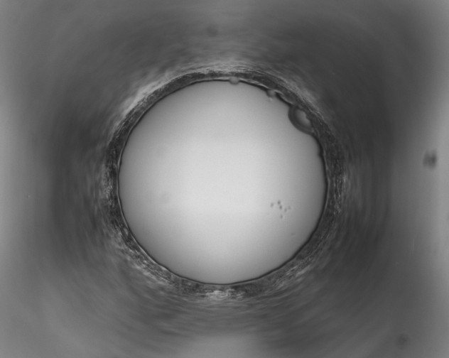 X0000115781160200911271158