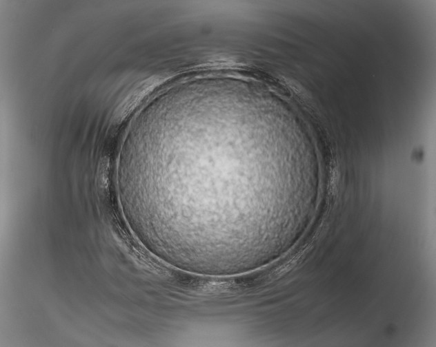 X0000115781161200911271158