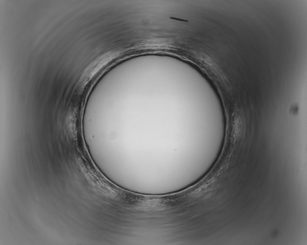 X0000115781162200911271158