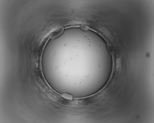 X0000115781165200911271158