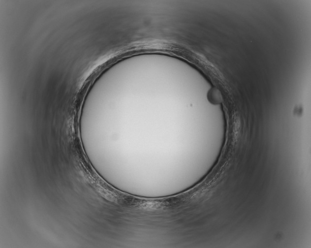 X0000115781166200911271158