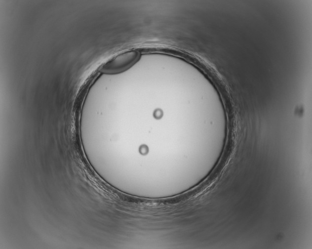 X0000115781167200911271157