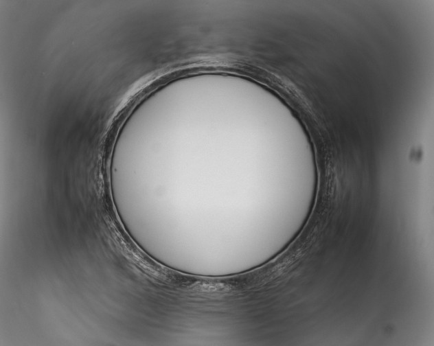 X0000115781168200911271157