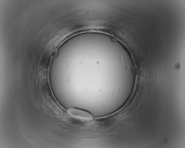 X0000115781169200911271157