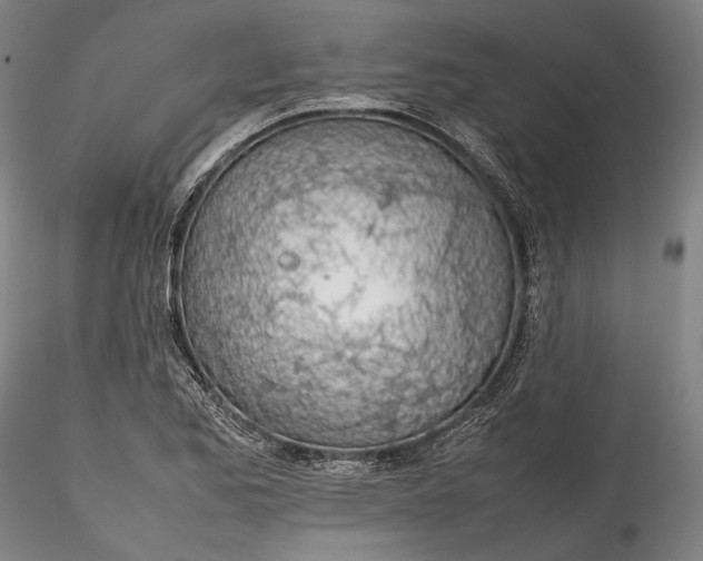 X0000115781173200911271157