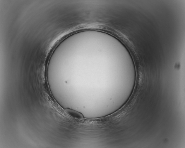 X0000115781174200911271157