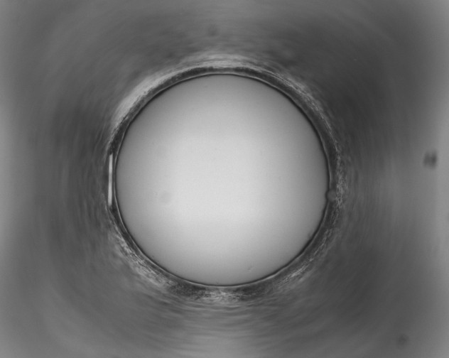 X0000115781175200911271157