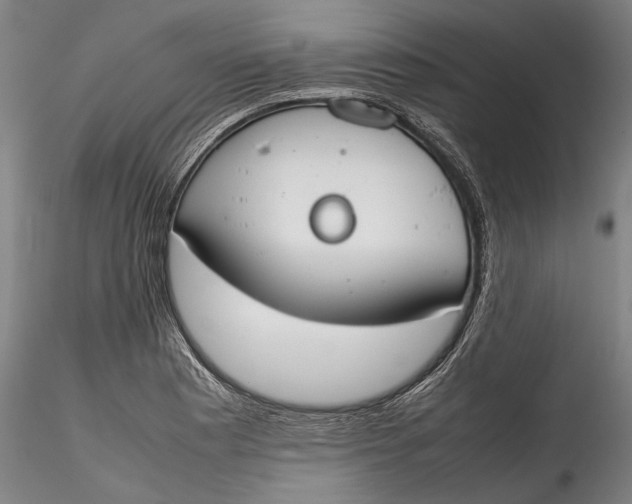 X0000115781177200911271157