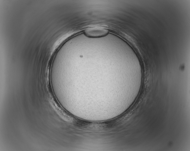 X0000115781179200911271157