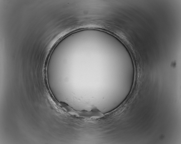 X0000115781181200911271157