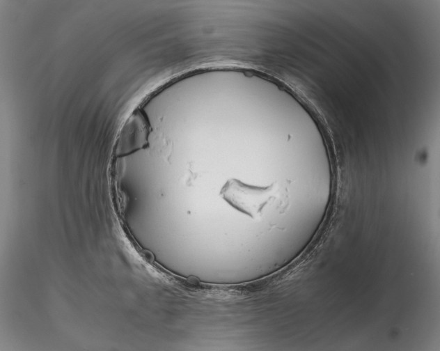 X0000115781189200911271157