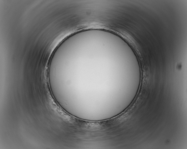 X0000115781190200911271157