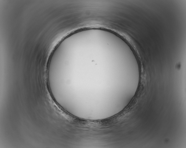 X0000115781191200911271157