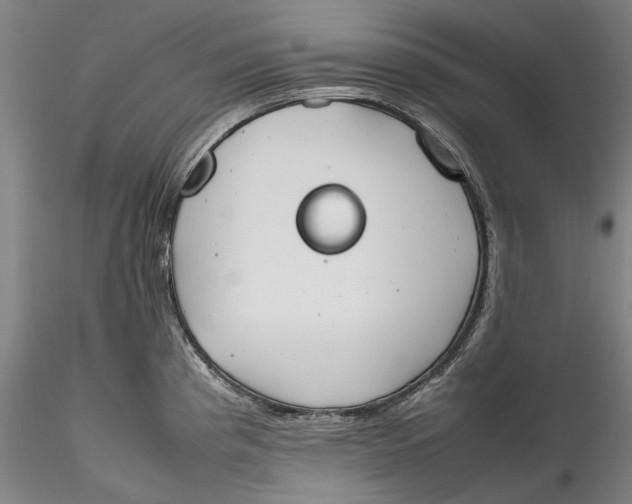 X0000115781193200911271157