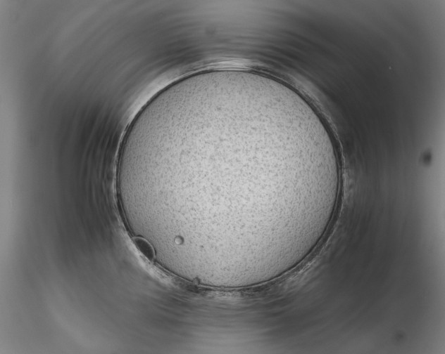 X0000115781194200911271157