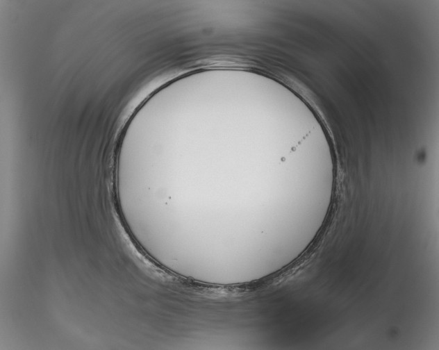 X0000115781195200911271157