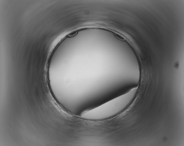 X0000115781196200911271157