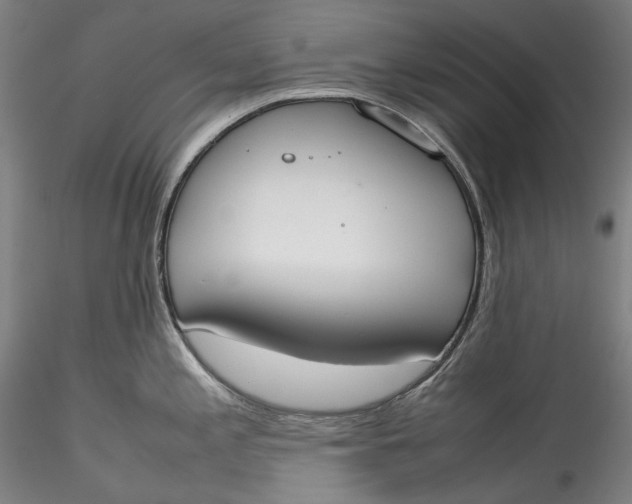 X0000115781197200911271157