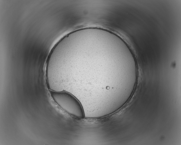 X0000115781198200911271157