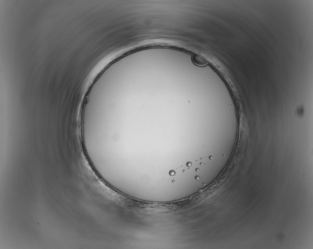 X0000115781199200911271157