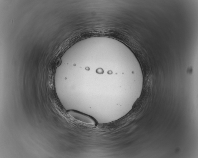 X0000115781202200911271156