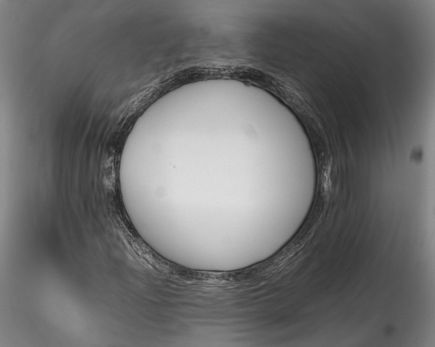 X0000115781204200911271156