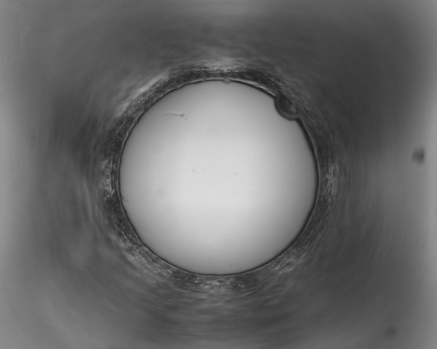 X0000115781205200911271156