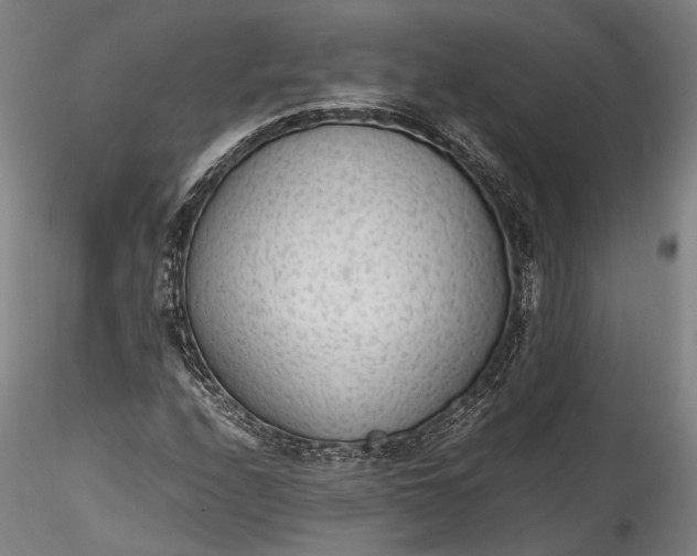 X0000115781208200911271156