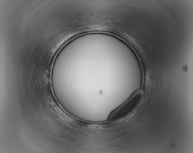 X0000115781212200911271157