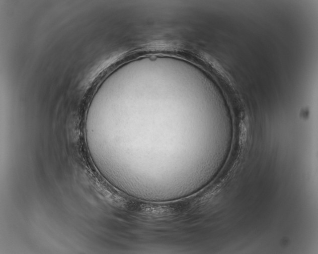 X0000115781213200911271157