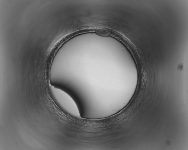 X0000115781215200911271157