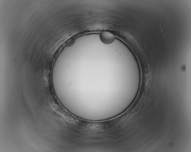 X0000115781217200911271157