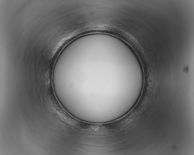 X0000115781218200911271157